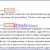 User reviews of Logan MT5