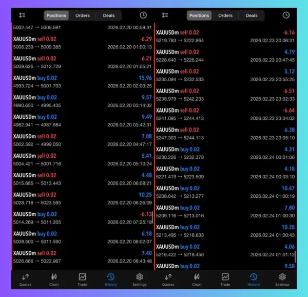 VELOZ SCALPING BOT Review