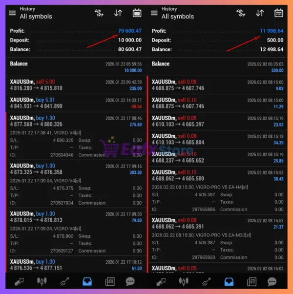 VIGRO PRO EA MT4 Trading Results
