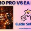 VIGRO PRO EA Settings