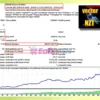 VectorNZT MT4 Backtest