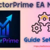 VectorPrime EA MT5 Settings