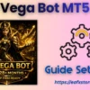 Vega Bot MT5 Settings