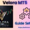 Velora MT5 Settings
