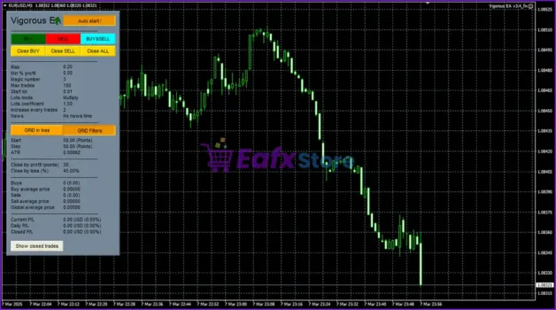 Vigorous EA Overview