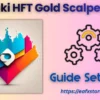 Vineski HFT Gold Scalper MT5 Settings