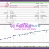 VolumeHedger MT5 Backtest Results