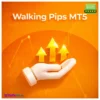 Walking Pips EA MT5