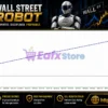 Wall Street Robot MT4 Tests