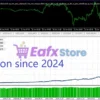 Wall Street Scalper MT5 Backtest Results
