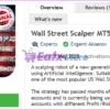 Wall Street Scalper MT5 Overview
