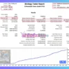 Wallstreet Champion MT5 Backtest Results
