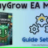 WayGrow EA MT4 Settings