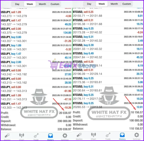 White Hat Fx EA Trading Results