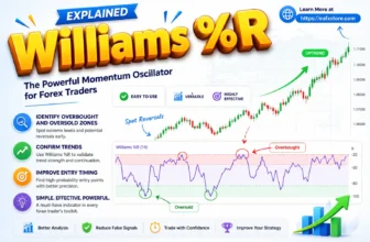 Williams %R Explained