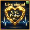XAU Pulse EA