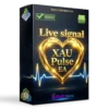 XAU Pulse EA Robot