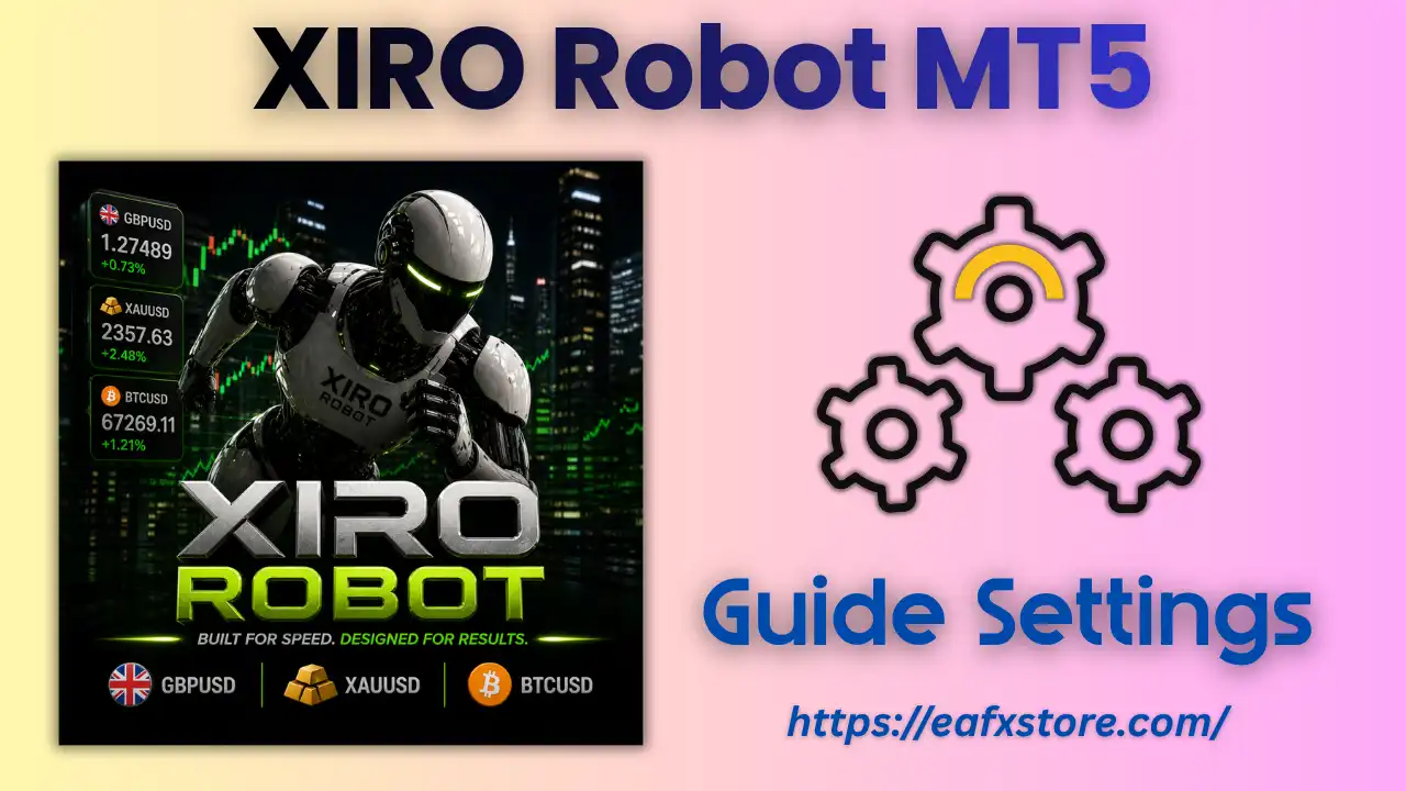 XIRO Robot MT5 Setting