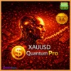 Xauusd Quantum Pro EA
