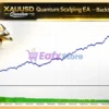 Xauusd Quantum Scalping EA Backtest