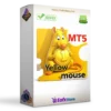 Yellow mouse scalping MT5