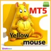 Yellow mouse scalping MT5 EA
