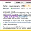 Yellow mouse scalping MT5 Review