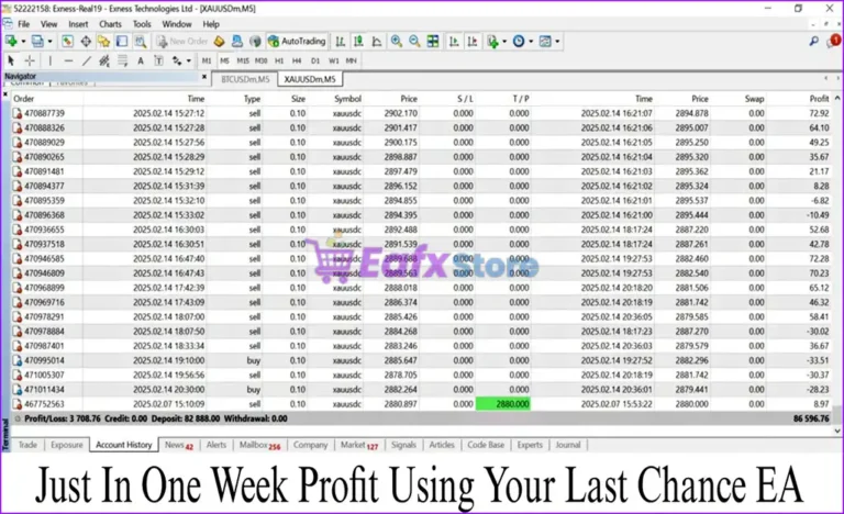 Your Last Chance EA MT4 Live Trading Results