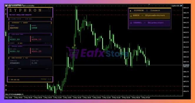 Zyphron EA MT5 Review