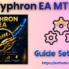 Zyphron EA MT5 Settings