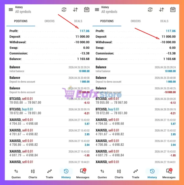 Zyphron EA Trading Results