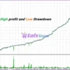 Zyrova EA Backtest Results