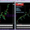 eFess Code Global Indicator Overview