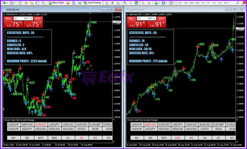 eFess Code Global Indicator Overview