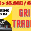 Video Thumbnail: Scalping Grid EA MT4 Review and Backtest | FX STORE EA