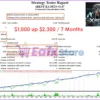xBest EA MT4 Backtest Results