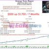 xBest EA MT4 Backtest Trading Results